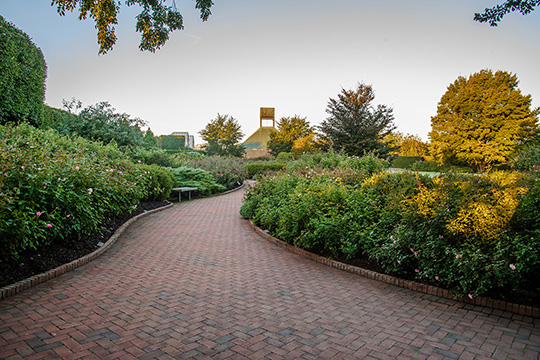 View 1: The Rose Garden in fall