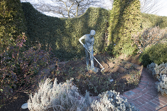 View 2: The Rose Garden in winter