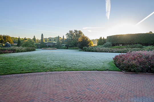 View 3: The Rose Garden in fall