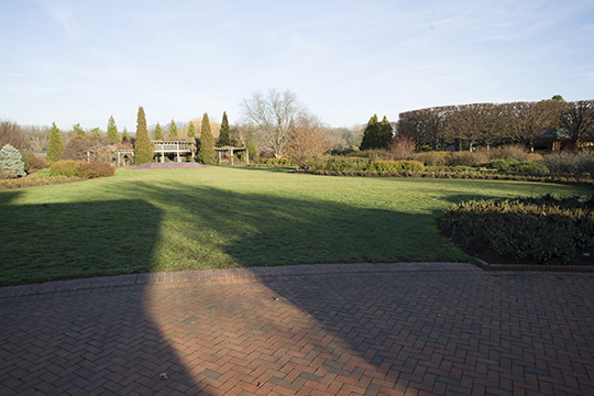 View 3: The Rose Garden in winter