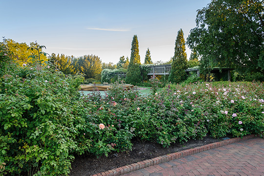 View 4: The Rose Garden in fall