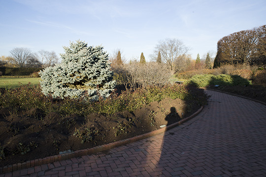 View 4: The Rose Garden in winter