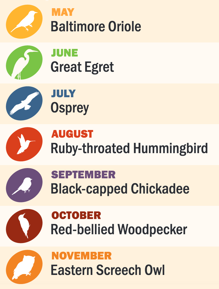 birdthepreserves Page 2 My Chicago Botanic Garden