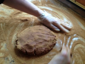 IMG_1181 IMG_1181