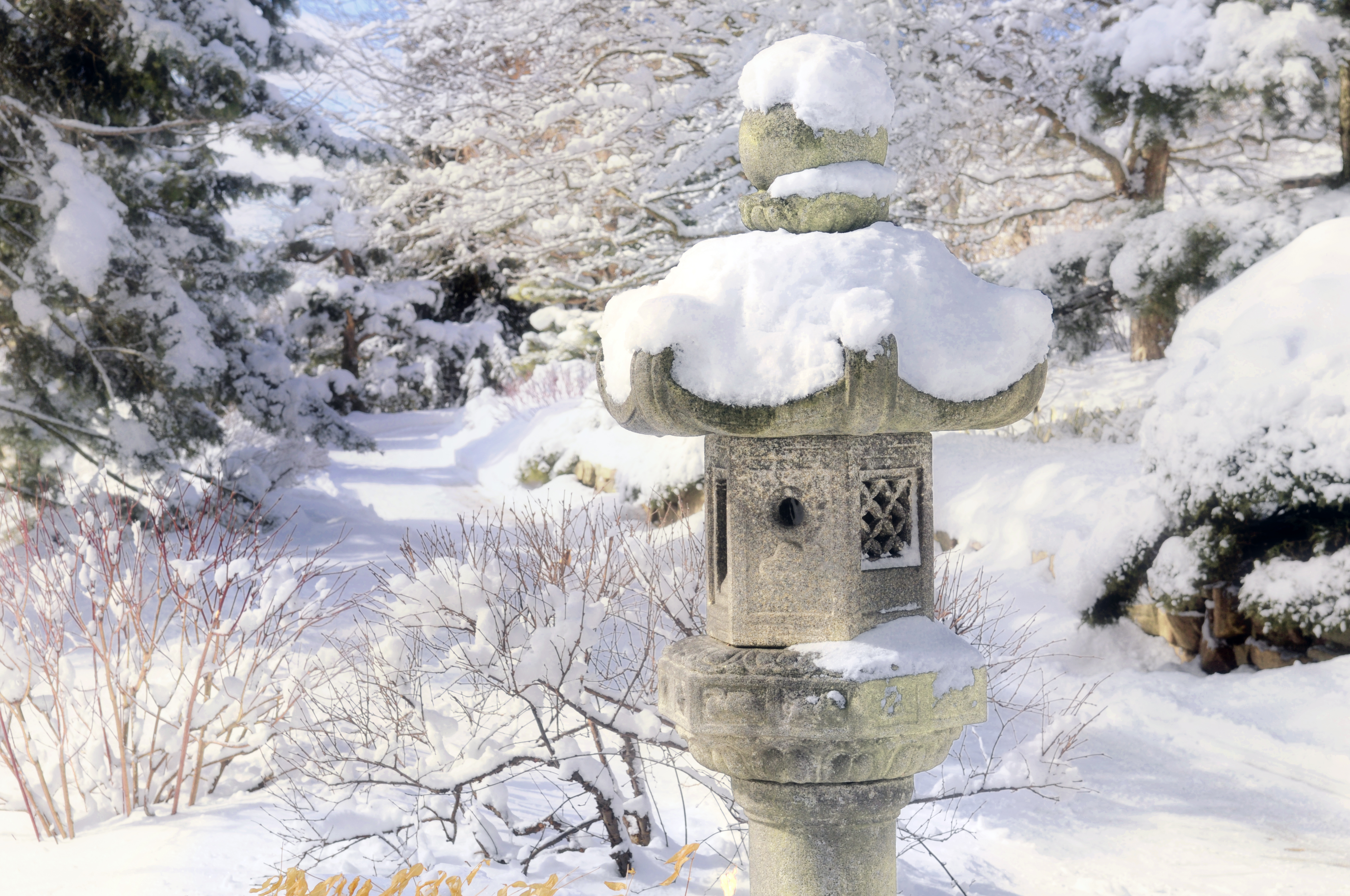 A Winter Walk Through The Japanese Garden My Chicago Botanic Garden
