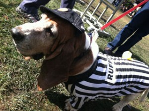 Rufferee