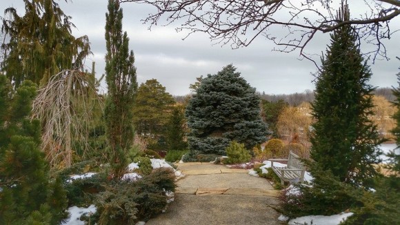 PHOTO: Contrasting textures and shapes keep the garden interesting even when snow is minimal.