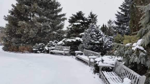 PHOTO: Fresh snow highlights the different textures found throughout the Garden.