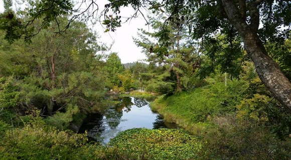 Quarryhill Botanical Garden