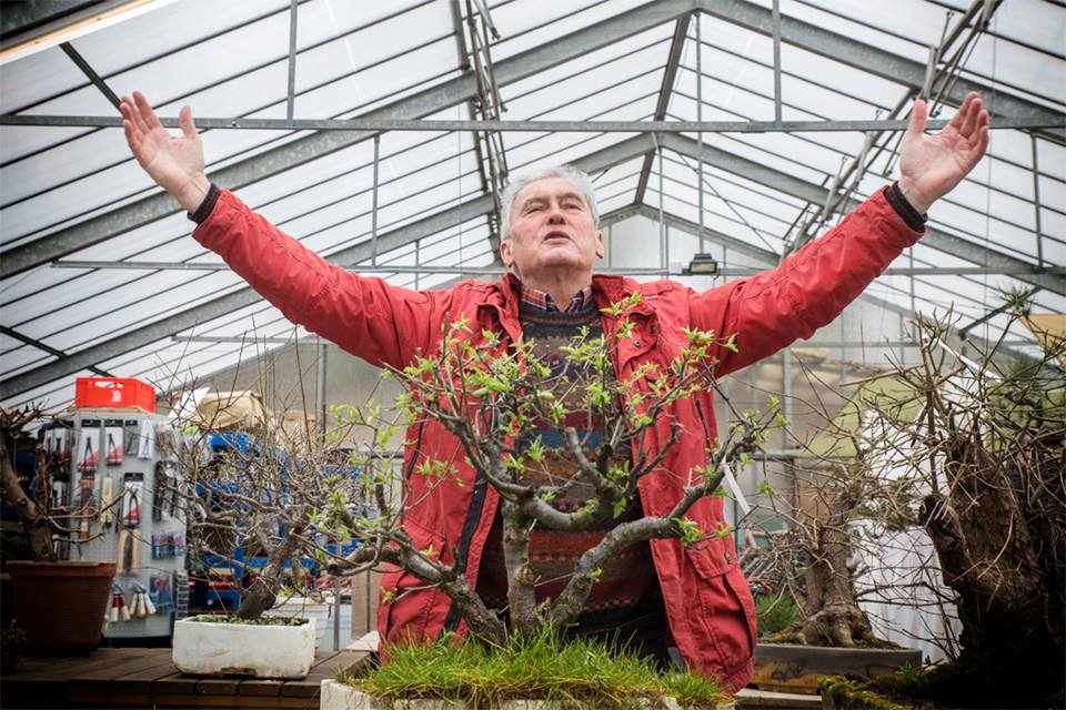 PHOTO: Bonsai master Walter Pall in the greenhouse.
