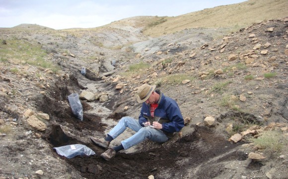 PHOTO: Pat Herendeen sits in a lignite trench on the steppe recording fossil finds. Two plastic baggies of fossils are nearby.