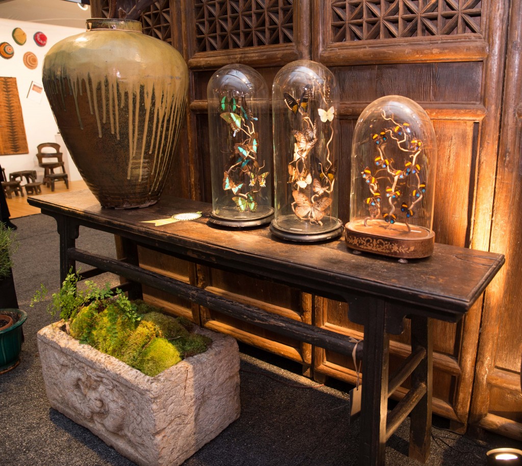 Booth #120, The Golden Triangle: An unrestored 19th century elm wood Chinese table with original patina and 19th century display cloches for butterflies (filled with a modern arrangement).