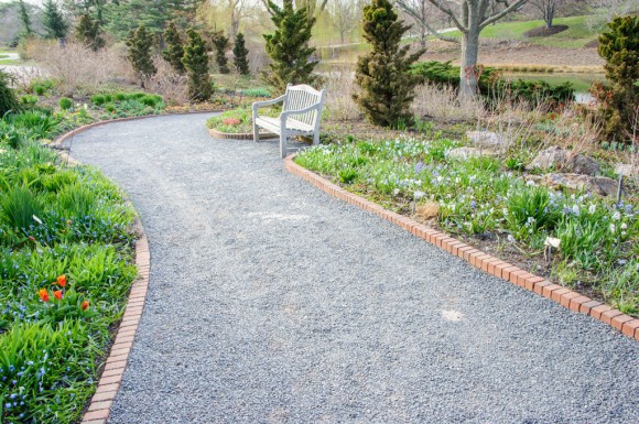 PHOTO: A view of the south path, dotted with the blues and reds of scilla and tulips.