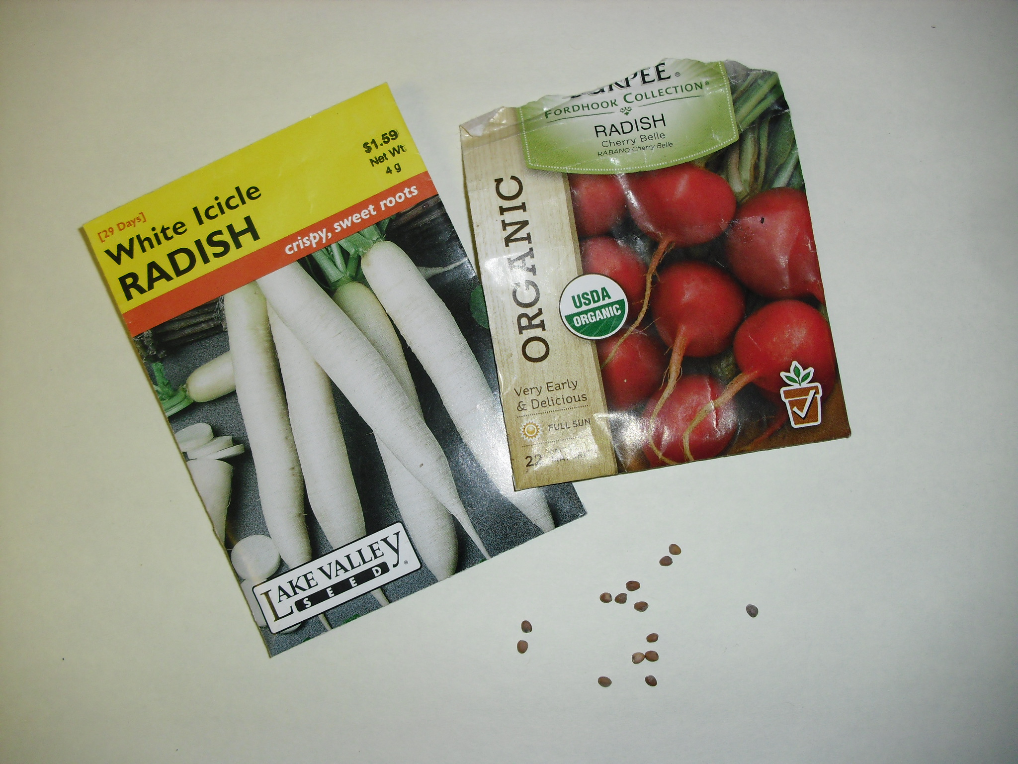 PHOTO: Seed packets for White icicle radish and an organic red radish are shown, next to about a dozen scattered radish seeds from the open package.