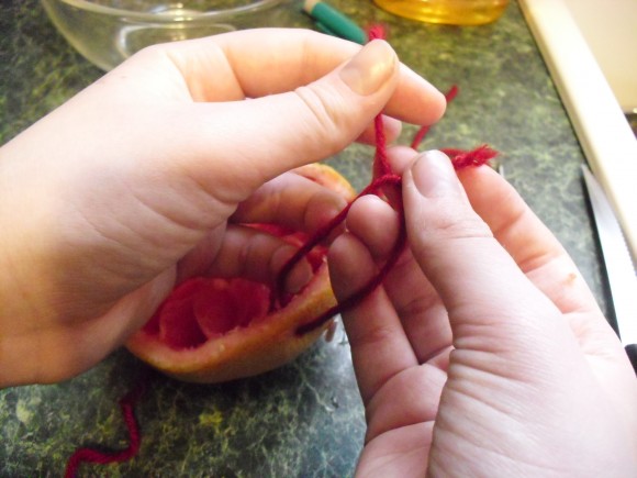 PHOTO: Tying yarn to the grapefruit to hang it.