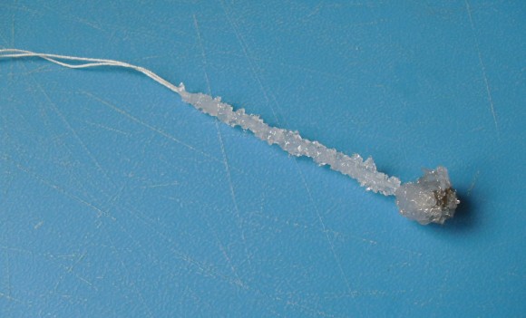 PHOTO: A weighted string coated in rock sugar crystals.