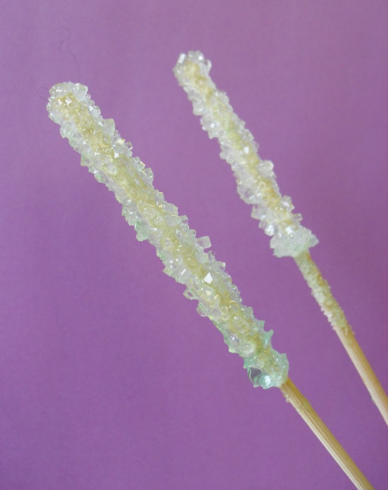 Photosynthesis Made my Rock Candy