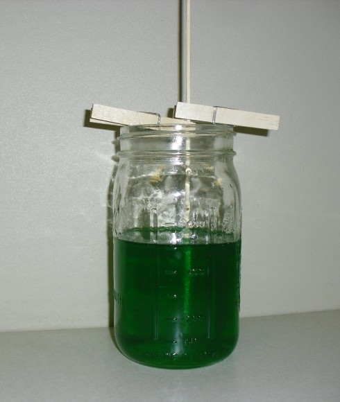 PHOTO: Green-dyed rock sugar candy solution in a Mason jar.