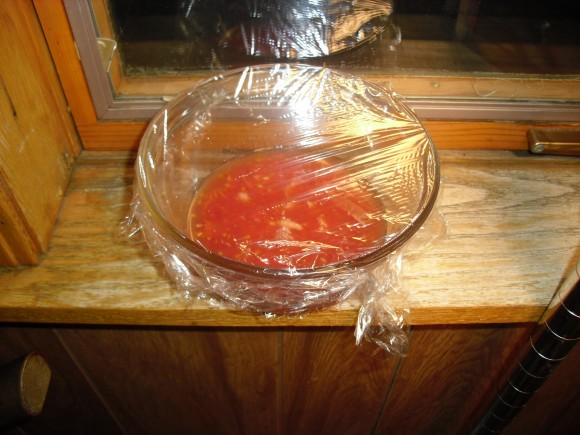 PHOTO: glass bowl about a third full of tomato pulp, covered with plastic wrap, sitting on the windowsill.