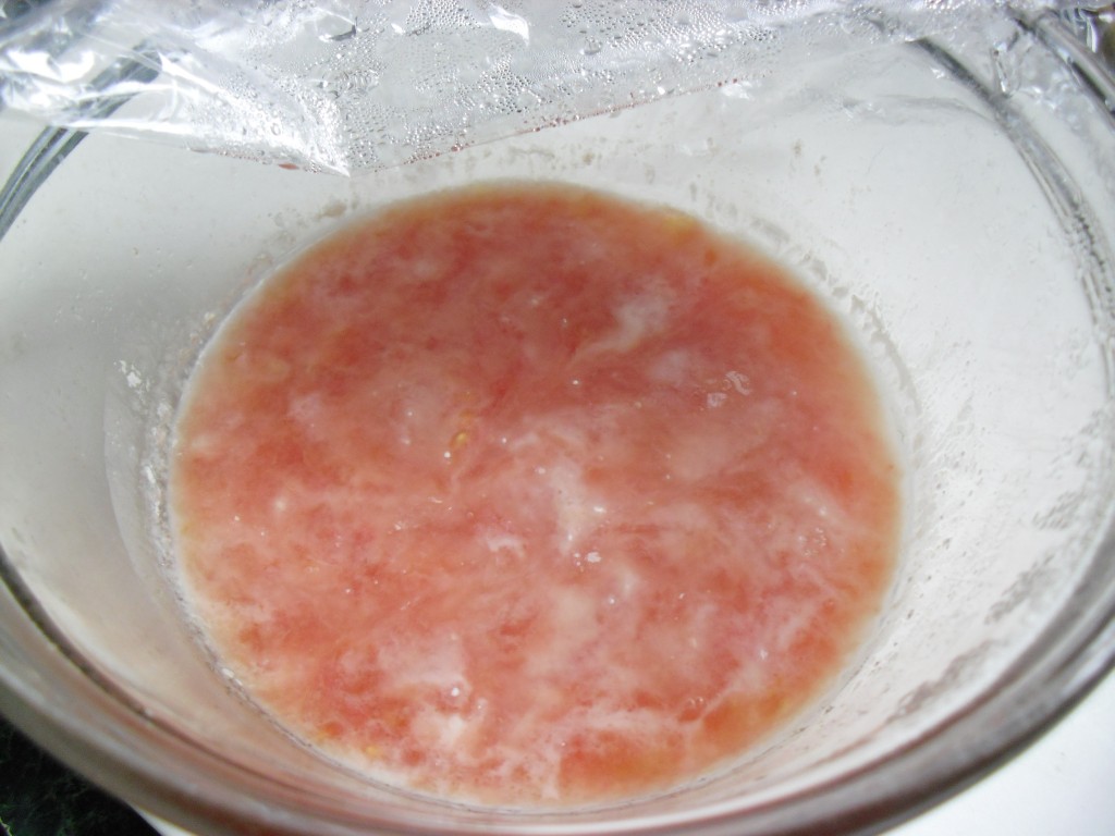 PHOTO: Bowl of fermented tomato slurry.