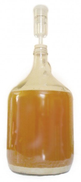 PHOTO: Carboy full of beer in process of brewing.