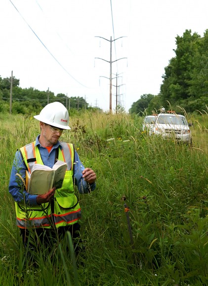 PHOTO: A ComEd employee examines a plant in the field, open plant ID book in his hand.