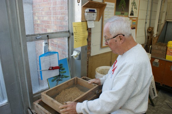 PHOTO: Volunteer Dick Anderson sifts soil for repotting the bonsai collection.