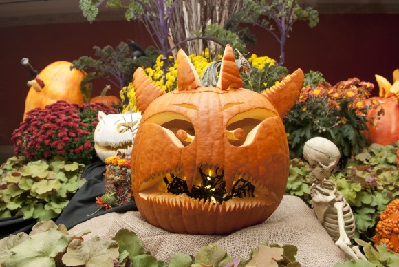 PHOTO: A devilish pumpkin with lots of pointy teeth.