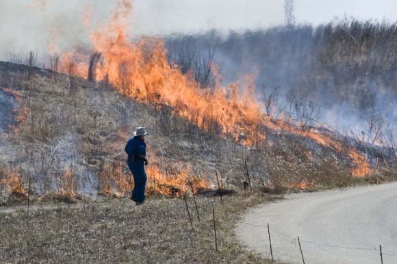 PHOTO: Chicago Botanic Garden ecologist Joah O'Shaughnessy monitors a prairie burn.