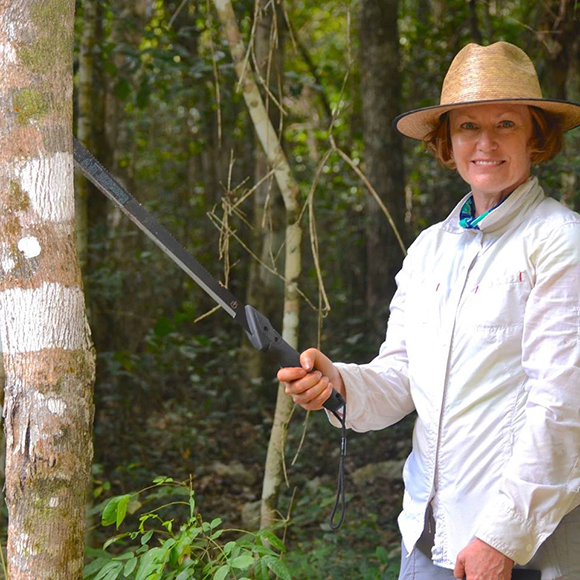 Louise Egerton-Warburton's work examines soil fungal diversity and functioning and its role in ecosystem processes.
