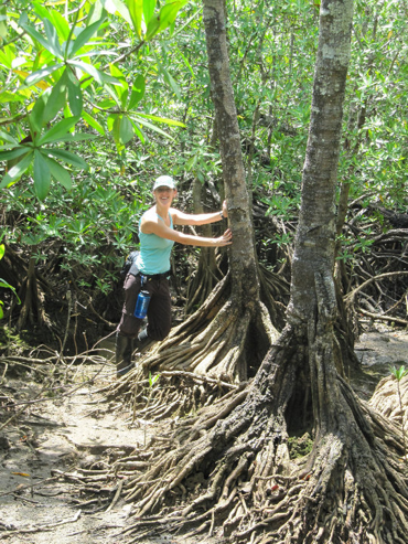 Here I am with a couple of mangrove specimens. These roots are in water at high tide, but exposed at low tide.