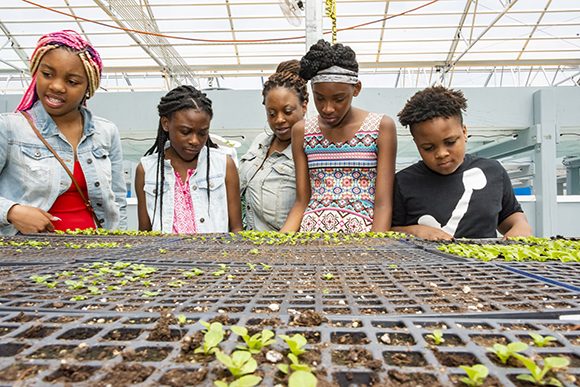 Kids look over flats of seedlings growing at the Farm on Ogden's greenhouses.