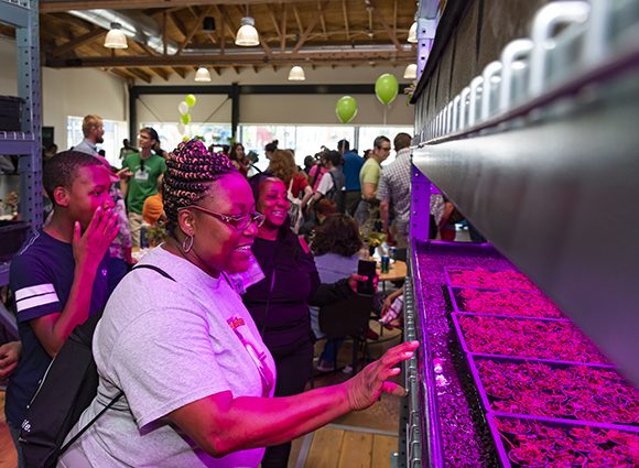 Visitors check out the purple grow lights near the aquaponics system at the Farm on Ogden.