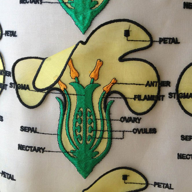 PHOTO: Detail of flower part diagram embroidered on Christopher Kane skirt.