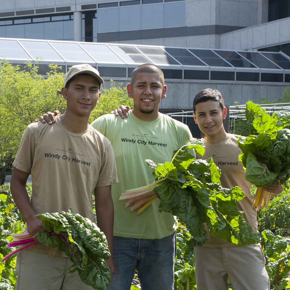 Putting Down Roots: Urban Agriculture at Work