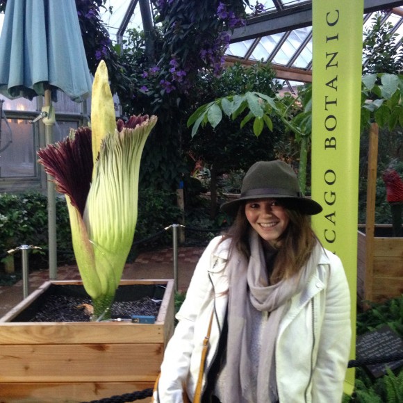 The first visitor to Sprout the titan arum on the morning after the bloom opened.