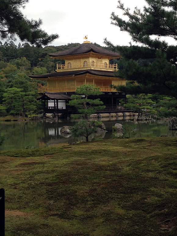 PHOTO: The Golden Pavilion surrounded by beautiful pines and the immaculate moss.