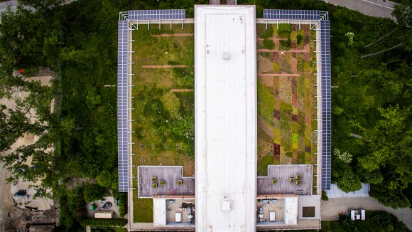 PHOTO: View of the Green Roof Garden from above.