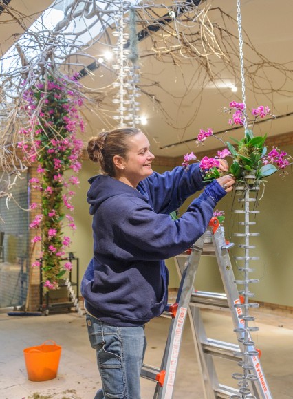 PHOTO: Horticulturist Heather Sherwood creating orchid chain.