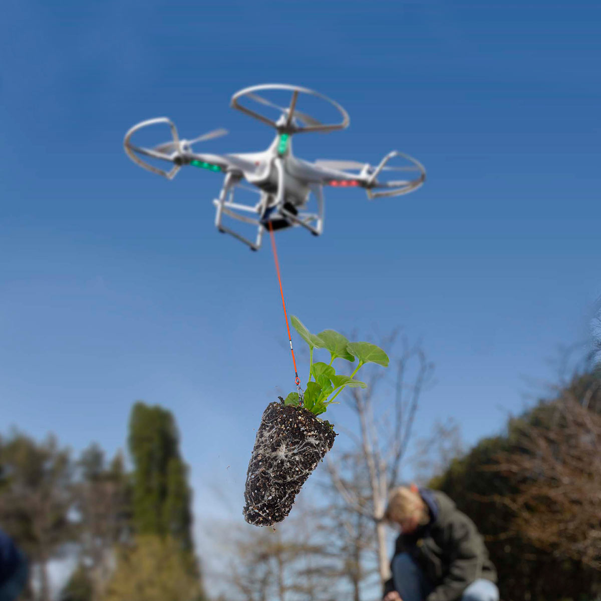 Drone quadcopter delivers a small seedling plant to a gardener.