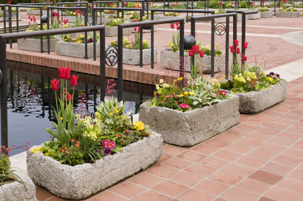 PHOTO: Heritage Garden troughs from May 2011 display.