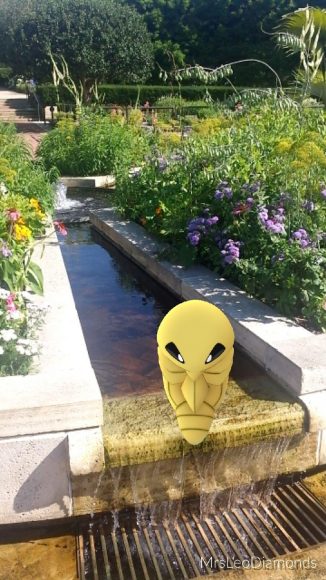 PHOTO: Kukuna Pokémon in the Heritage Garden.