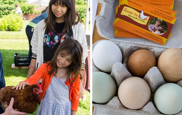 Two young girls pet a chicken and learn about raising chickens at home.
