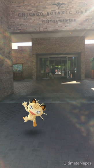 PHOTO: Meowth Pokémon at the Visitor Center entryway.