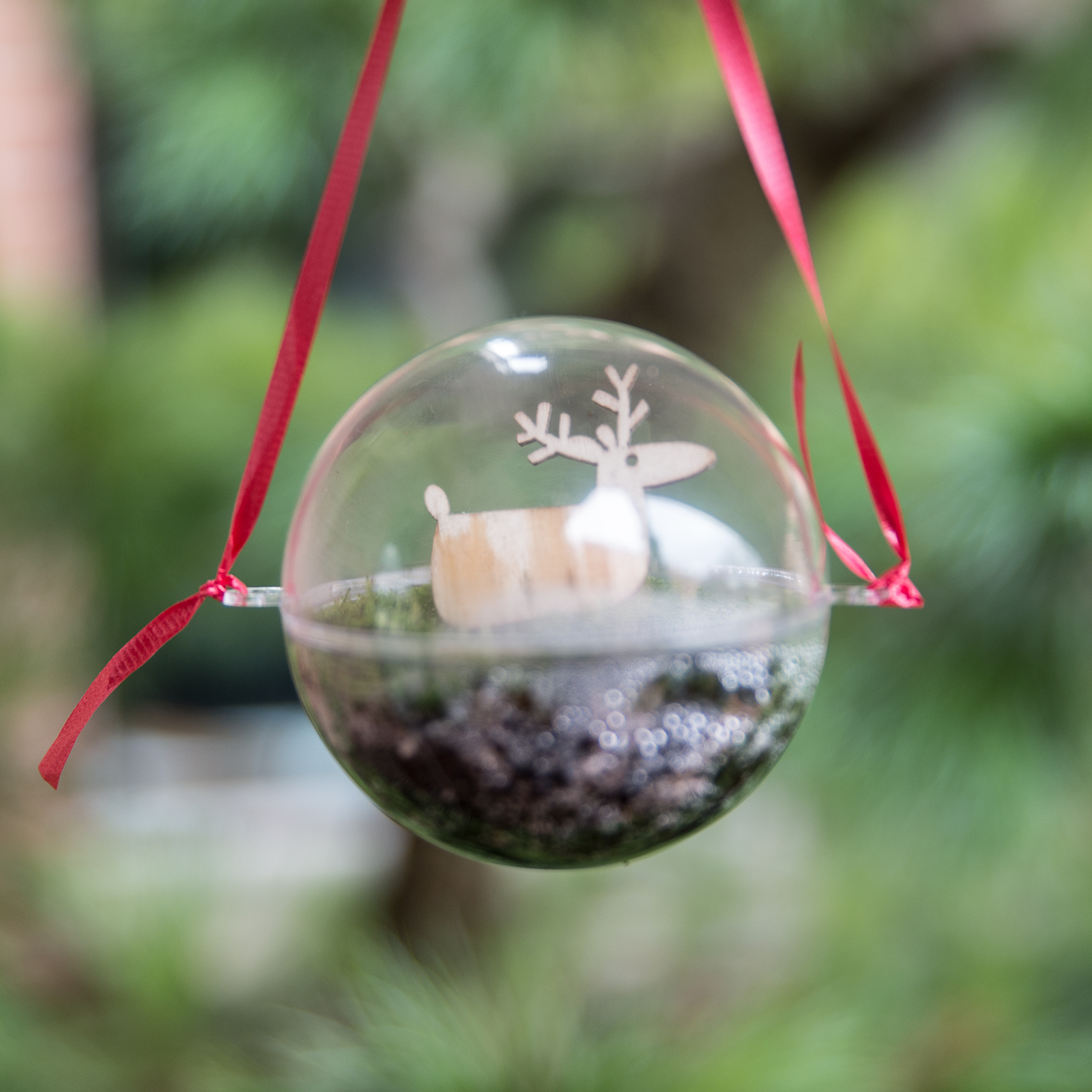 Make a Mini-Terrarium Holiday Ornament