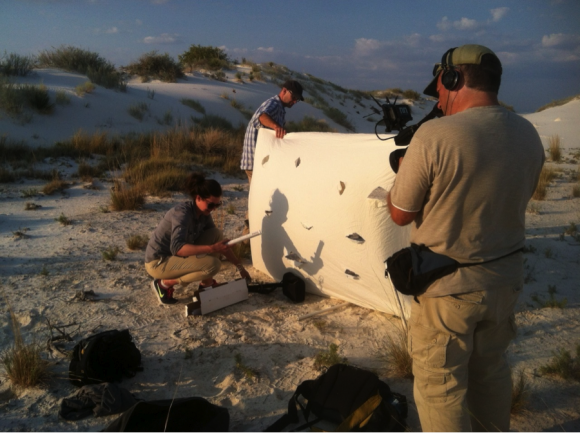 PHOTO: Cameraman filming the moth trap setup as the sun sets on the dunes.