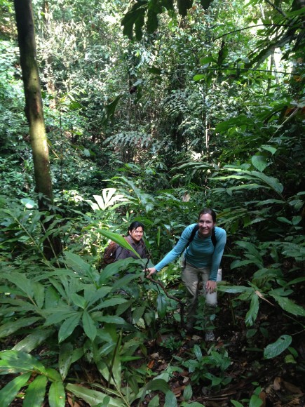 PHOTO: Dr. Zerega and Dr. Joan Pereira climbing hill in tropical forest.
