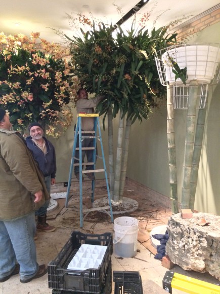 PHOTO: Staff plant up the bamboo trees and wire baskets to create orchid trees.