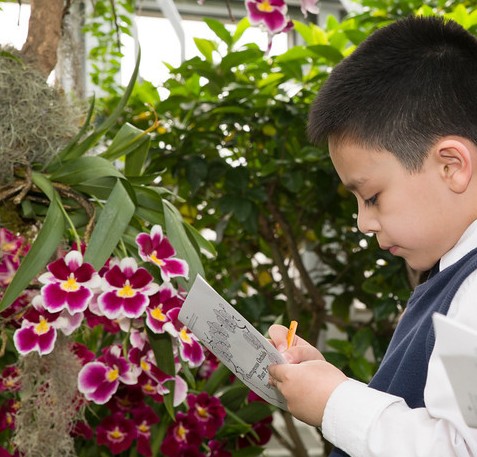 PHOTO: Boy taking notes on orchids in the Outrageous Orchids class.