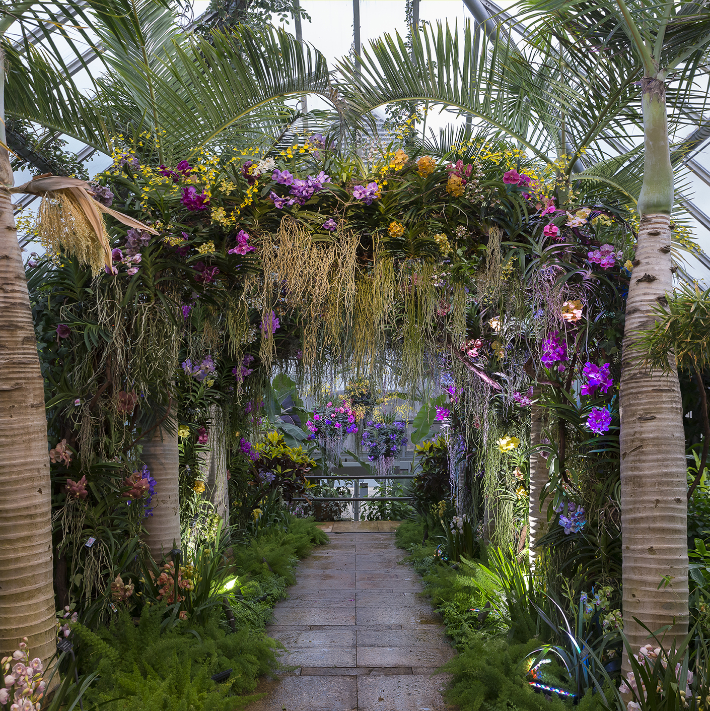 Orchid archway at the Chicago Botanic Garden's 2017 Orchid Show